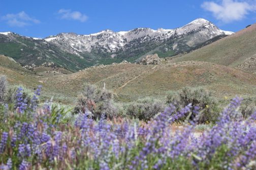 Biden Bans Energy Development in Nevada’s Ruby Mountains for 20 Years