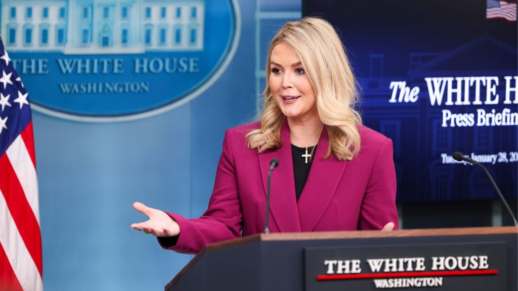 Karoline Leavitt Claims White House Ignores Reporters Using Pronouns in Bios