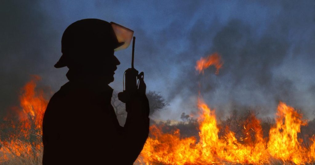 San Diego Officials: Recent Wildfires Linked to Homeless Encampments
