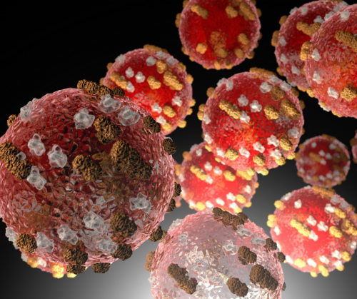 Measles Cases Emerge in KY & NJ Amid Texas Outbreak