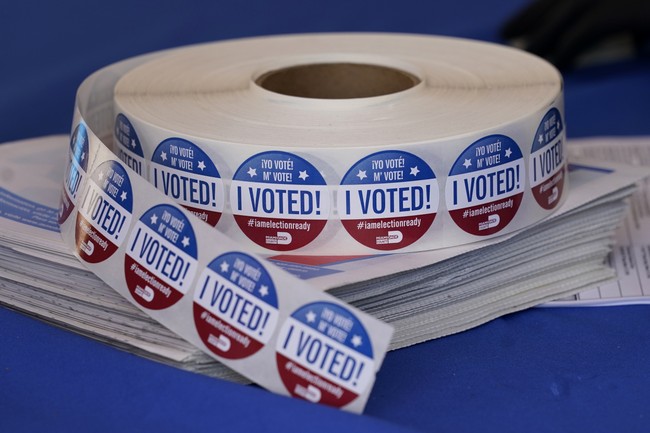 Number of Fake Voters Removed from Rolls Revealed