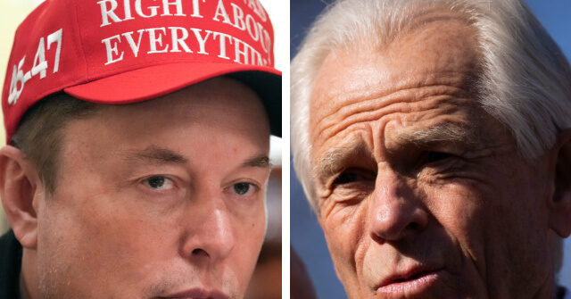 Elon Musk Calls Navarro a ‘Moron’ in Ongoing Anti-Tariff Rant