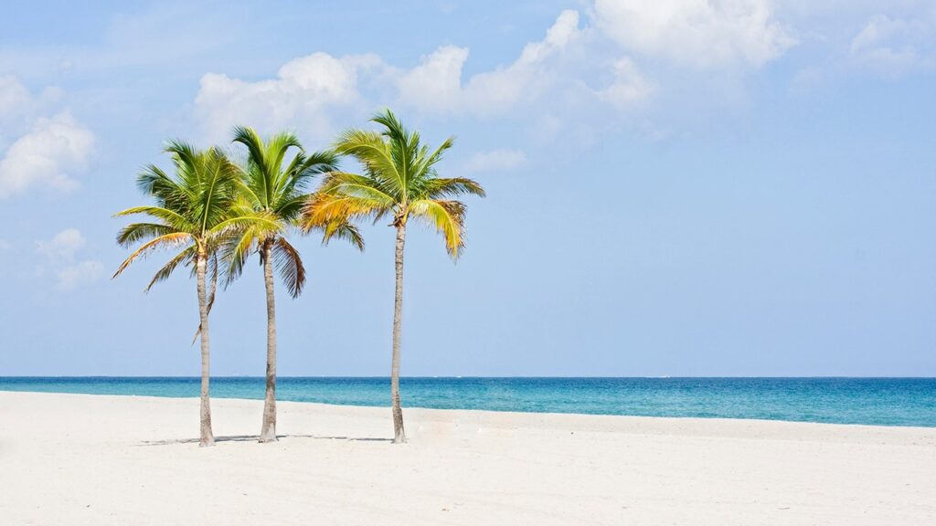 Expert Warns: China’s Billion-Dollar Presence Near Florida Threatens US National Security