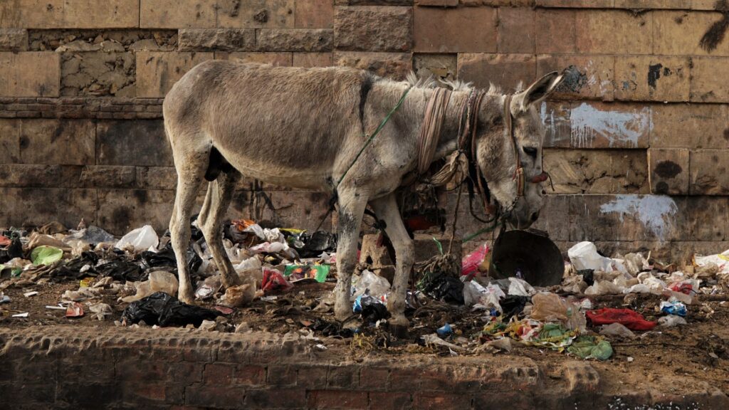 CNN Data Expert Criticizes Democratic Party as “Total and Complete Garbage”