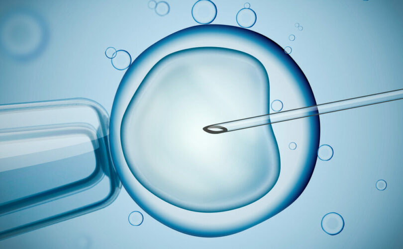 New IVF Embryo Screening Tool Sparks Bioethicist Alarm and Calls for Strict Oversight