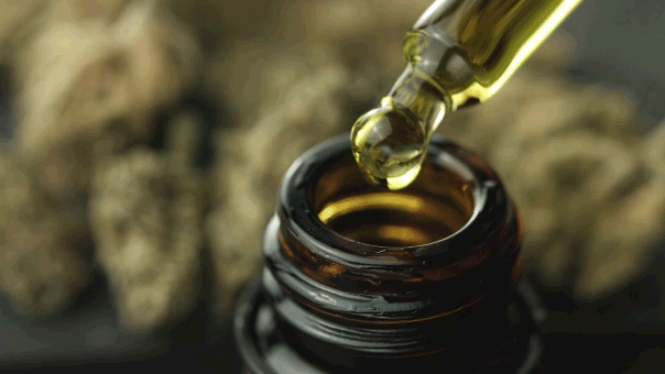 THC And Celecoxib May Protect Seniors’ Brains, Study Finds