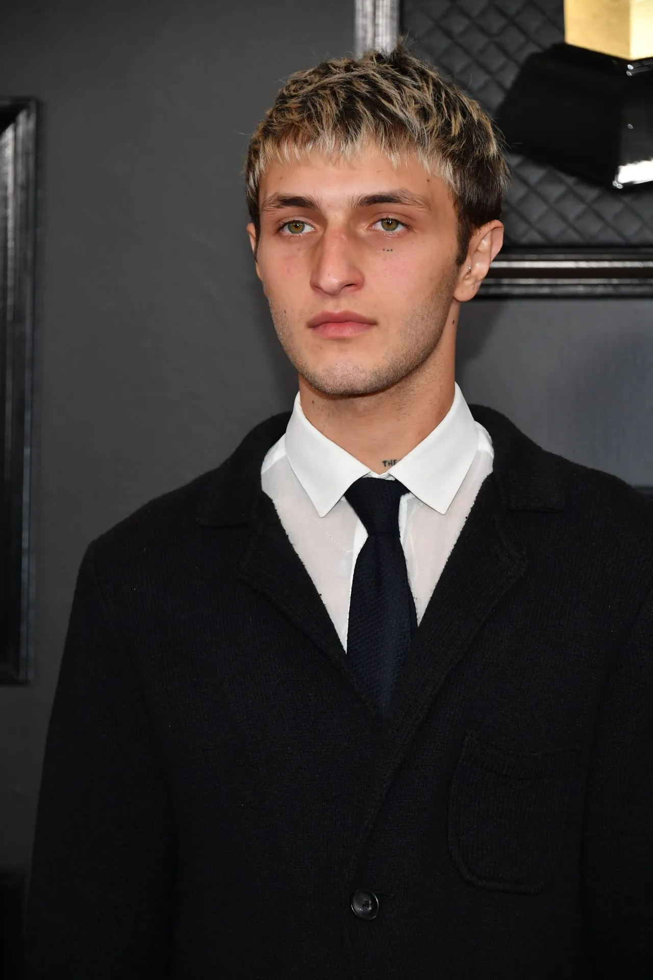 LOS ANGELES, CALIFORNIA - JANUARY 26: Anwar Hadid attends the 62nd Annual GRAMMY Awards at Staples Center on January 26, 2020 in Los Angeles, California. (Photo by Amy Sussman/Getty Images)