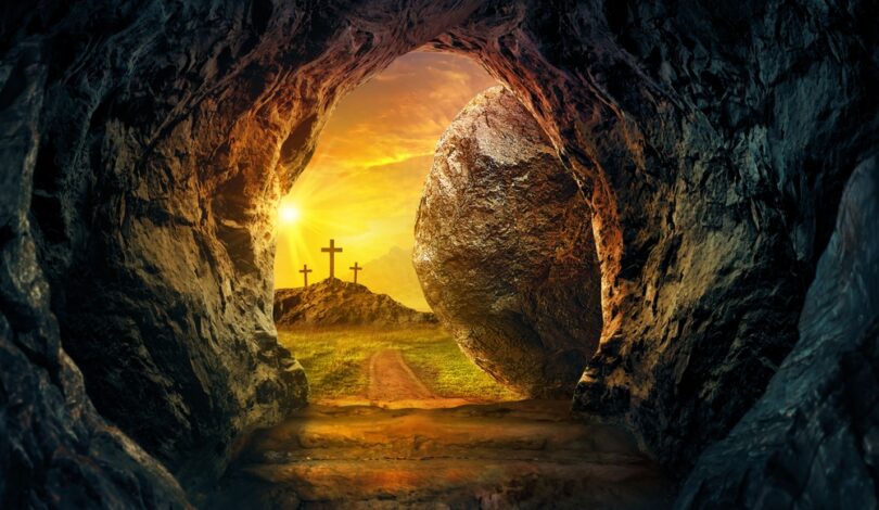 LifeSiteNews Staff Return Easter Tuesday, Restoring Conservative Voice