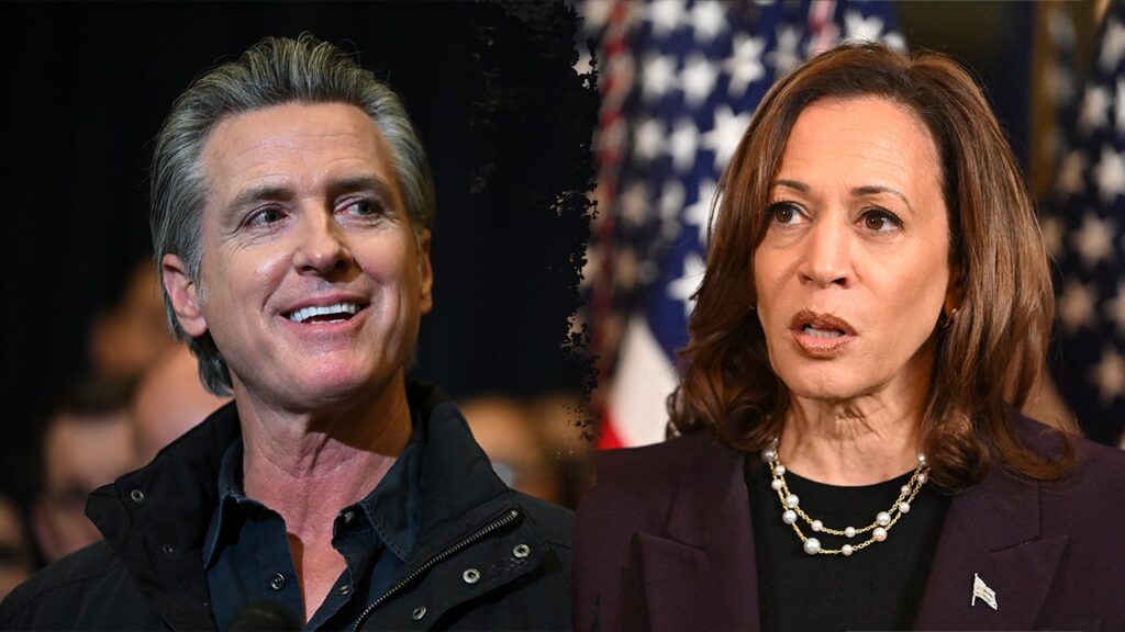 Democrats Face Identity Crisis, Risk Losing Cohesion