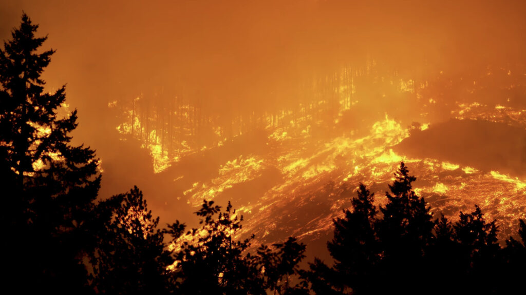 Driveway Activities Can Trigger Wildfires, Act Today