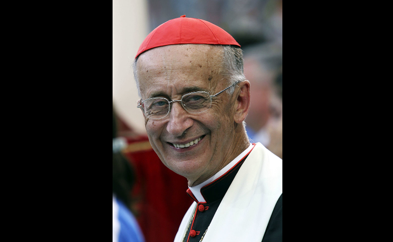 Cardinal Reasserts Catholic Influence In Public Life, Blocks IVF