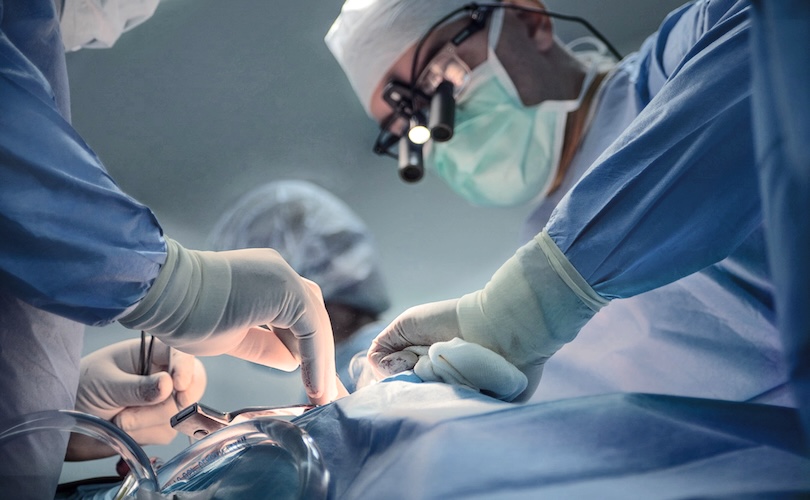 WPATH Accused By Regulators, States Over Pediatric Transition Claims