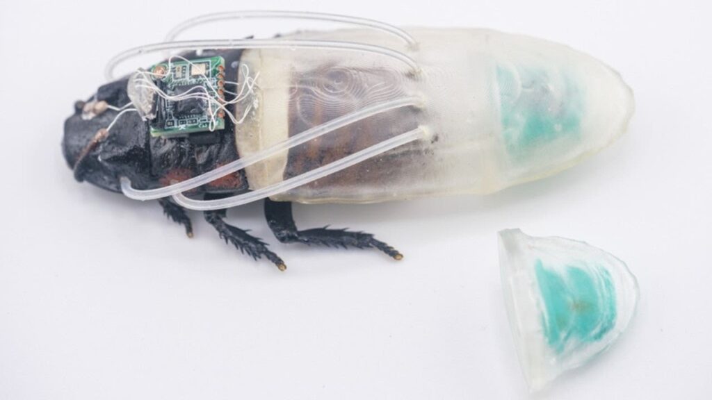 Cyborg Cockroach in Diving Suit Reaches Flooded Rescue Zones