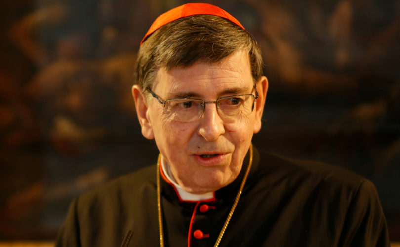 Cardinal Koch Says SSPX Dialogue With Rome Remains Possible