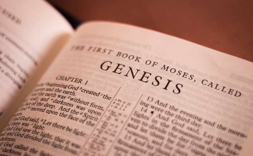 Marinella Perroni Challenges Genesis, Rejects Devil And Original Sin