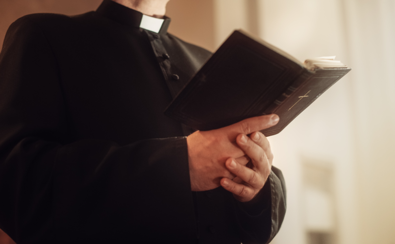 German Bishop Urges Debate On Priestly Celibacy, Synodal Reforms