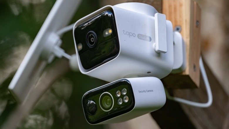 TP-Link Tapo C675D KIT Solar-Powered Dual-Lens Pan/Tilt Security Camera Kit mounted in a tree.