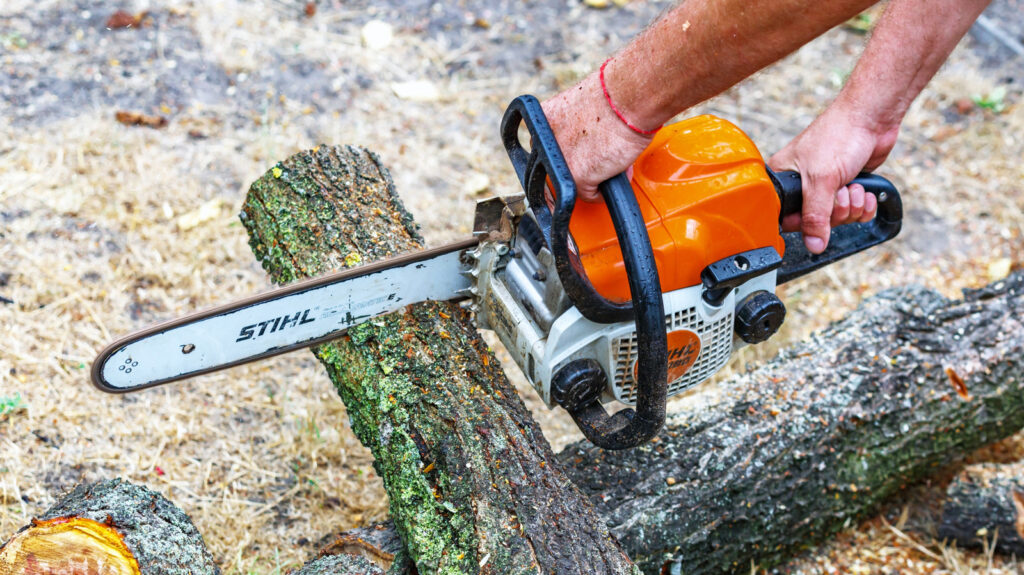 What Chainsaw Size You Need To Cut Trees Safely
