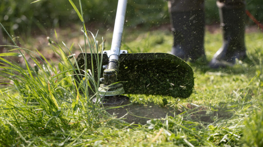 Can A Weed Eater Replace A Mower In Small Yards