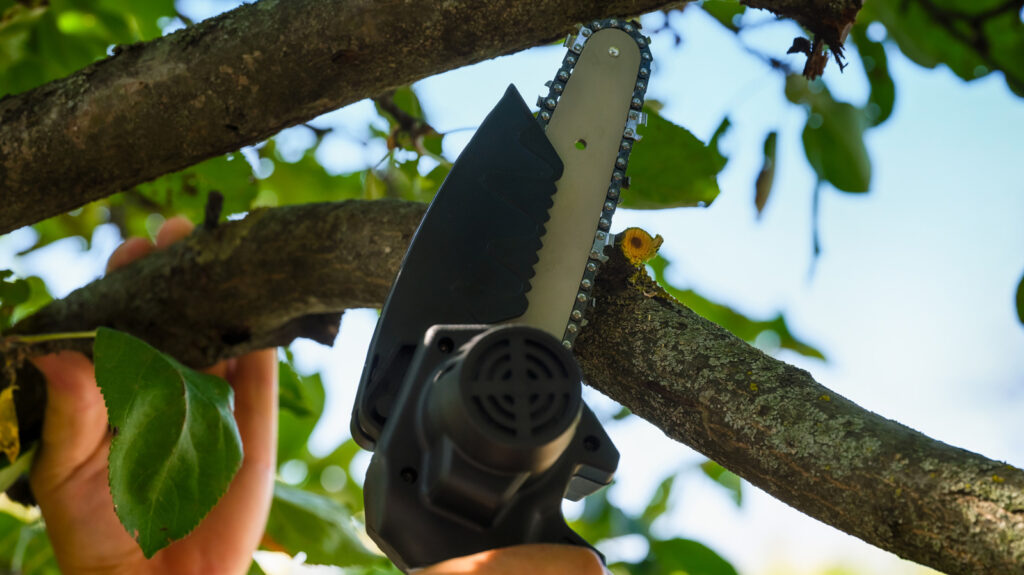 Mini Chainsaws Can Fell Small Trees, Know Their Limits