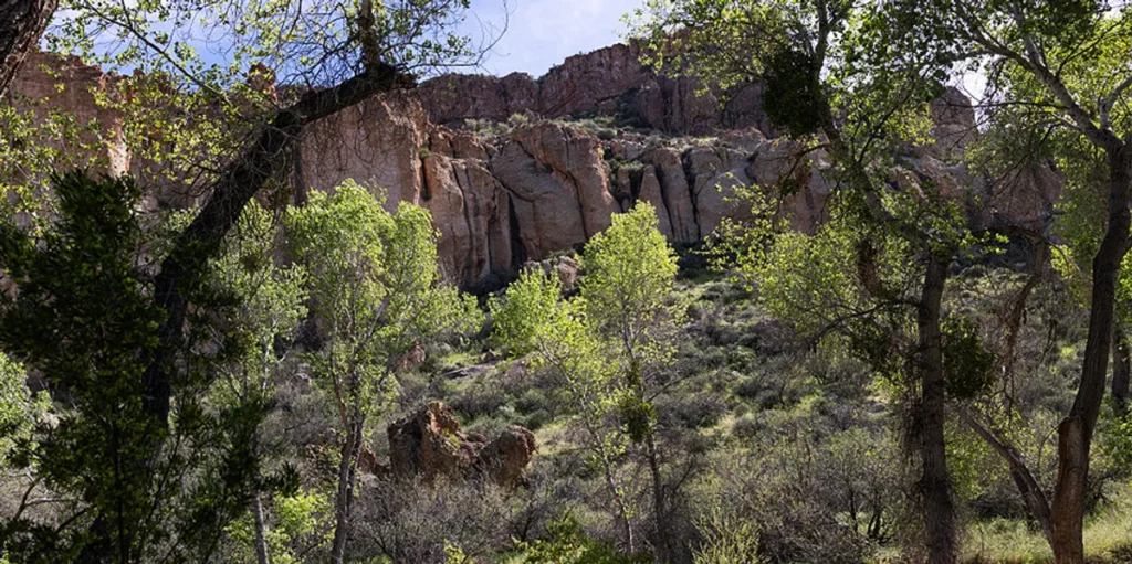 Tonto National Forest Rangers Find 1,000 Pounds Of Trash