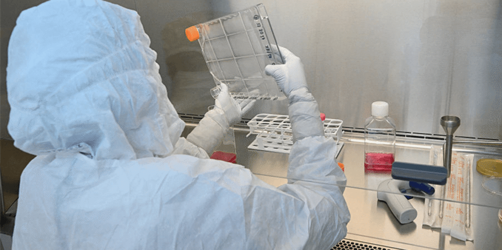 Conception Advances Early Human Egg Creation From Blood Cells