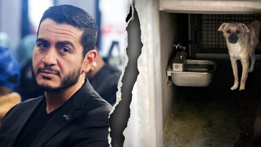 Abdul El-Sayed Faces Scrutiny Over Detroit Animal Control Record