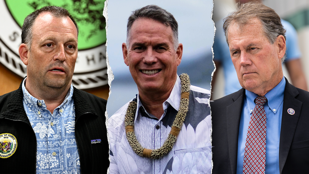 Hawaii Voters Weigh Green And Progressive Challenge To ED CASE