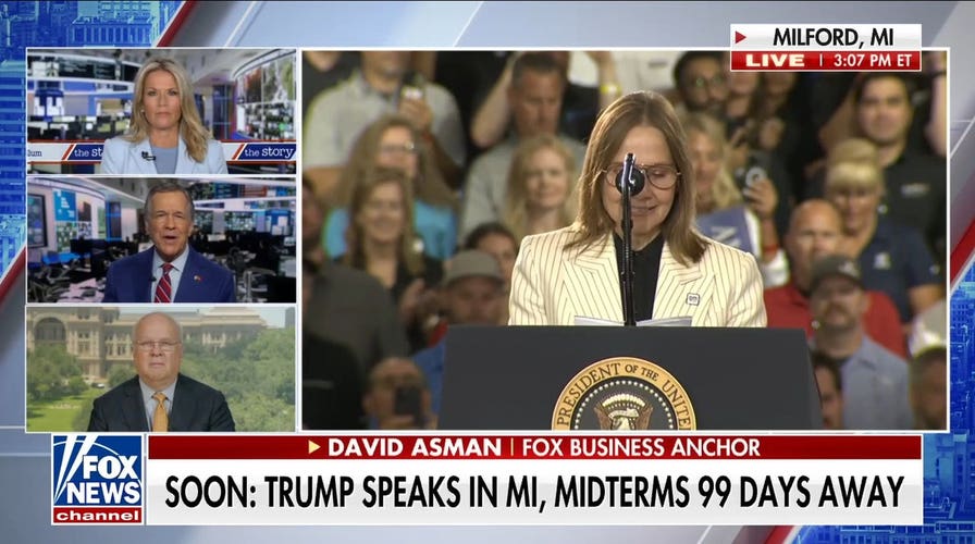 If Democrats nominate El-Sayed in Michigan, GOP will have an 'excellent shot': Karl Rove