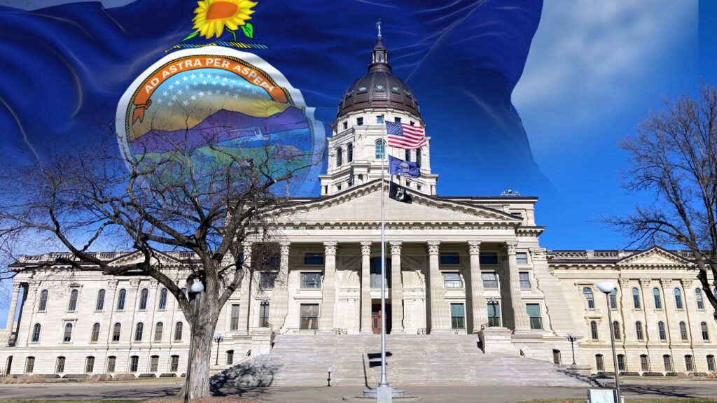 Kansas Democrats Back Cindy Holscher In Governor Race