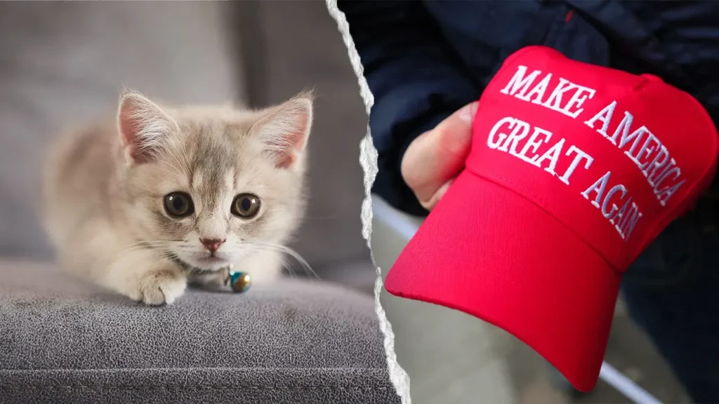 NYC Kitten Rescue Defends MAGA Adoption Ban After PETA Criticism