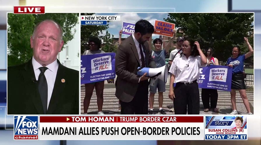 Tom Homan: These politicians are 'nuts'