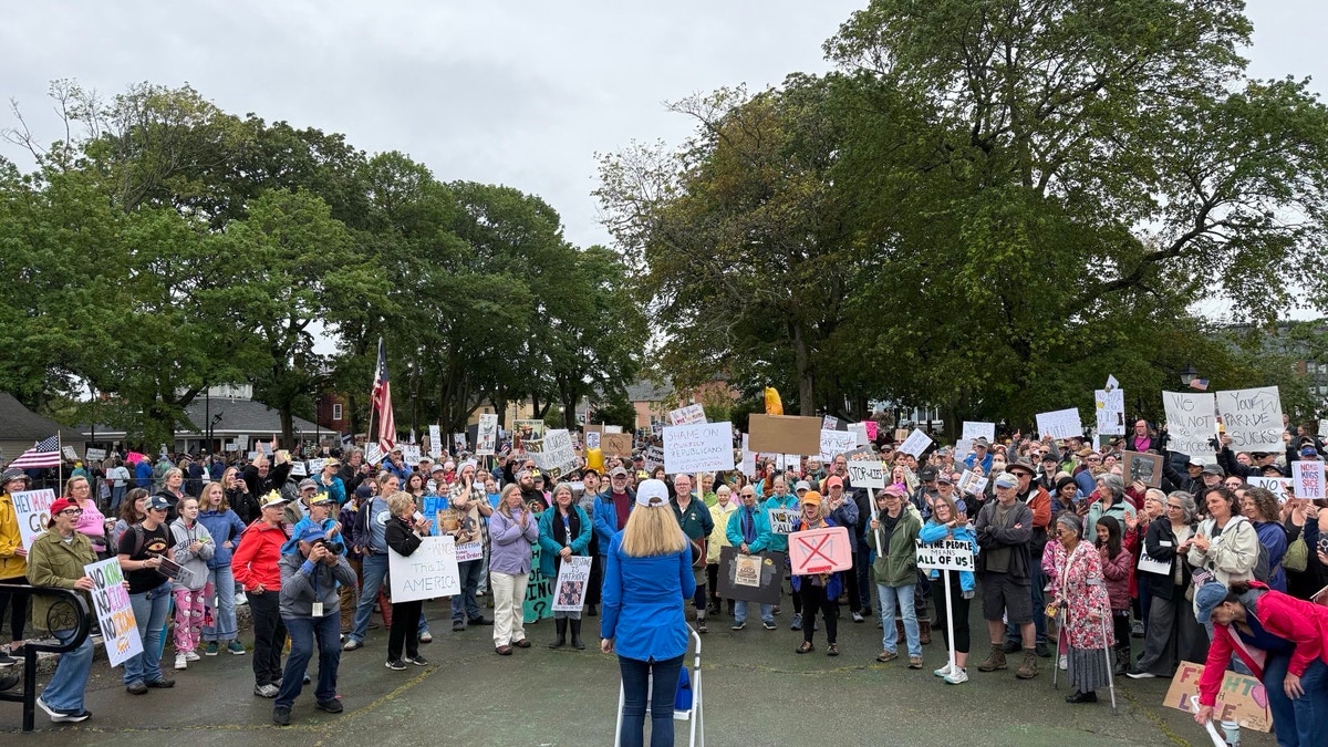 Democratic congressional candidate Maura Sullivan speaks at a