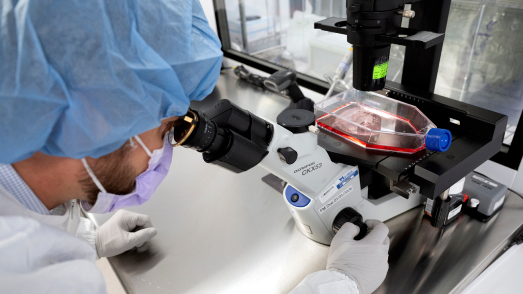 AI Is Transforming Cancer Treatment, From Melanoma To Fertility Care