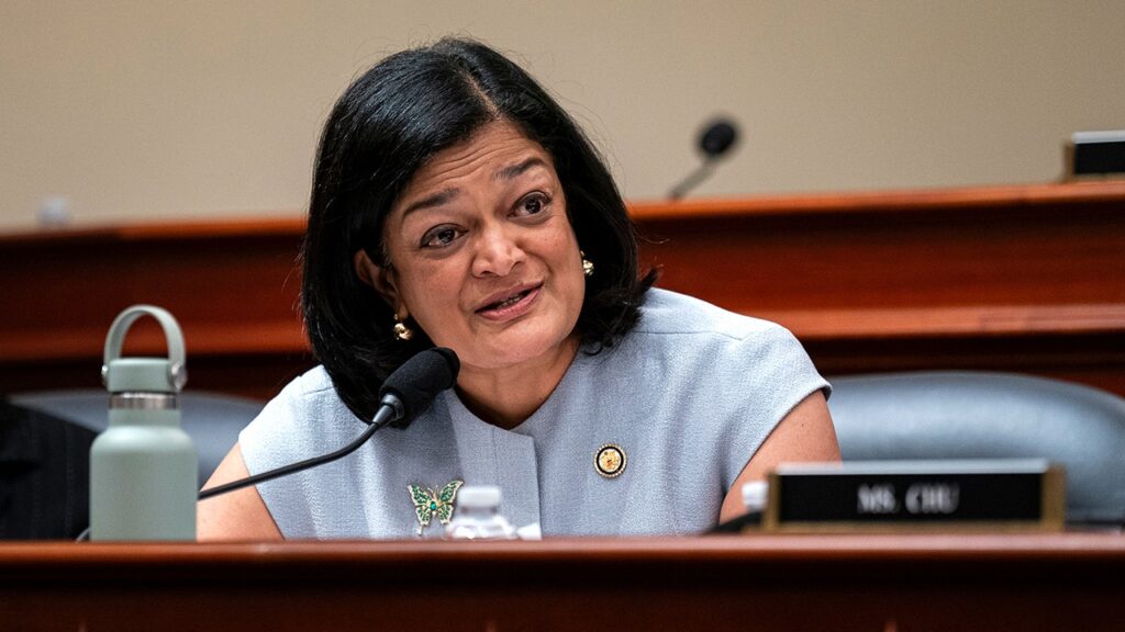 Jayapal Says DHS Arrests Mostly Target People With No Threat
