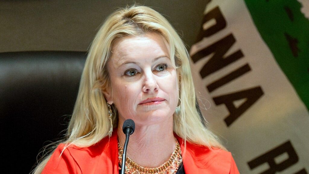 Anaheim Mayor Faces Claims Of Drunken Conduct And Harassment