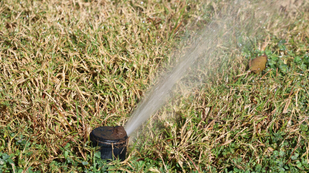 Fall Lawn Care, Cut Back Sprinkler Water Now