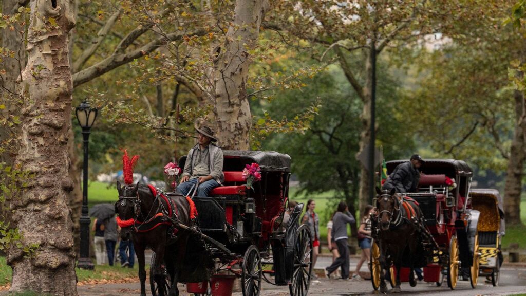 NYC Votes To End Horse Carriage Tradition, Drivers Vow Lawsuit